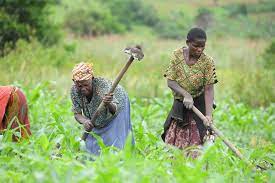 Supporting Women on fighting for food security